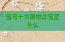 宝马十大稀世之宝是什么
