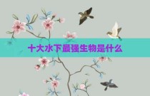十大水下最强生物是什么