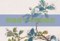 新加坡十大神仙排名