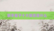 新手笛子十大禁忌是什么