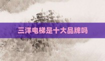 三洋电梯是十大品牌吗