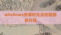 windows安装时无法创建新的分区