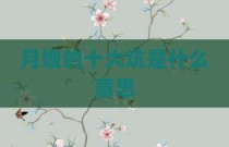 月嫂的十大坑是什么意思