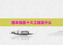 固本强基十大工程是什么