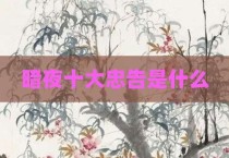 暗夜十大忠告是什么