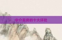 中介卖房的十大坏处