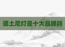 德土尼灯是十大品牌吗