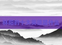 林阳的十大美德是什么