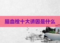 脑血栓十大诱因是什么