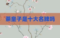 茶皇子是十大名牌吗