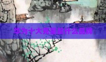 华为十大克星是什么品牌