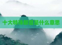 十大特殊部首是什么意思