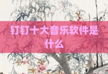 钉钉十大音乐软件是什么