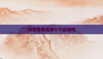 翼虎发电机是十大品牌吗