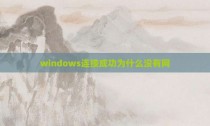 windows连接成功为什么没有网