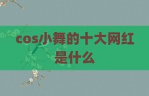 cos小舞的十大网红是什么