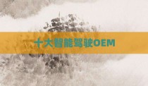 十大智能驾驶OEM