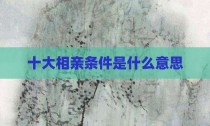 十大相亲条件是什么意思