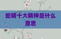 蛇精十大精神是什么意思