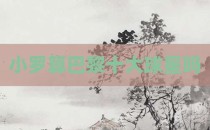 小罗算巴黎十大球星吗