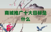 商城推广十大目标是什么