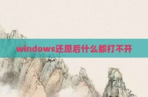windows还原后什么都打不开