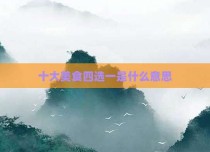 十大美食四选一是什么意思