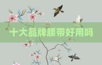 十大品牌腰带好用吗