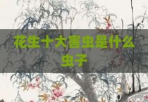 花生十大害虫是什么虫子