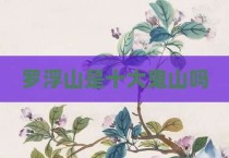 罗浮山是十大鬼山吗