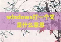 windows打一个叉是什么意思