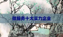 微服务十大实力企业