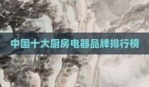 中国十大厨房电器品牌排行榜