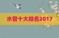 水管十大排名2017
