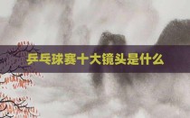 乒乓球赛十大镜头是什么