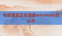 电脑重启正在准备windows怎么办
