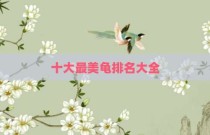 十大最美龟排名大全