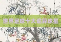 世界足球十大诡异球星