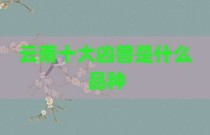 云南十大凶兽是什么品种