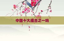中国十大组合之一吗
