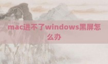 mac进不了windows黑屏怎么办