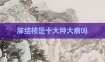肺结核是十大种大病吗