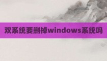 双系统要删掉windows系统吗