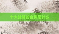 十大战略的全称是什么