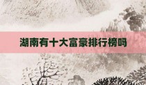 湖南有十大富豪排行榜吗