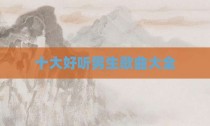 十大好听男生歌曲大全