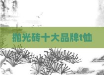 抛光砖十大品牌t恤