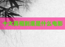 十大真相到底是什么电影