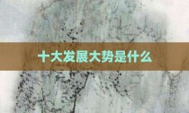 十大发展大势是什么