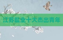 江苏盐业十大杰出青年